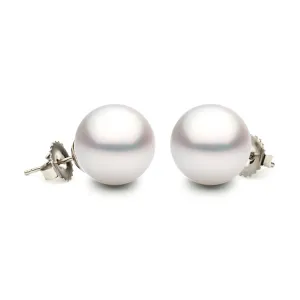 DSL 11-11.5mm South Sea Pearl Studs