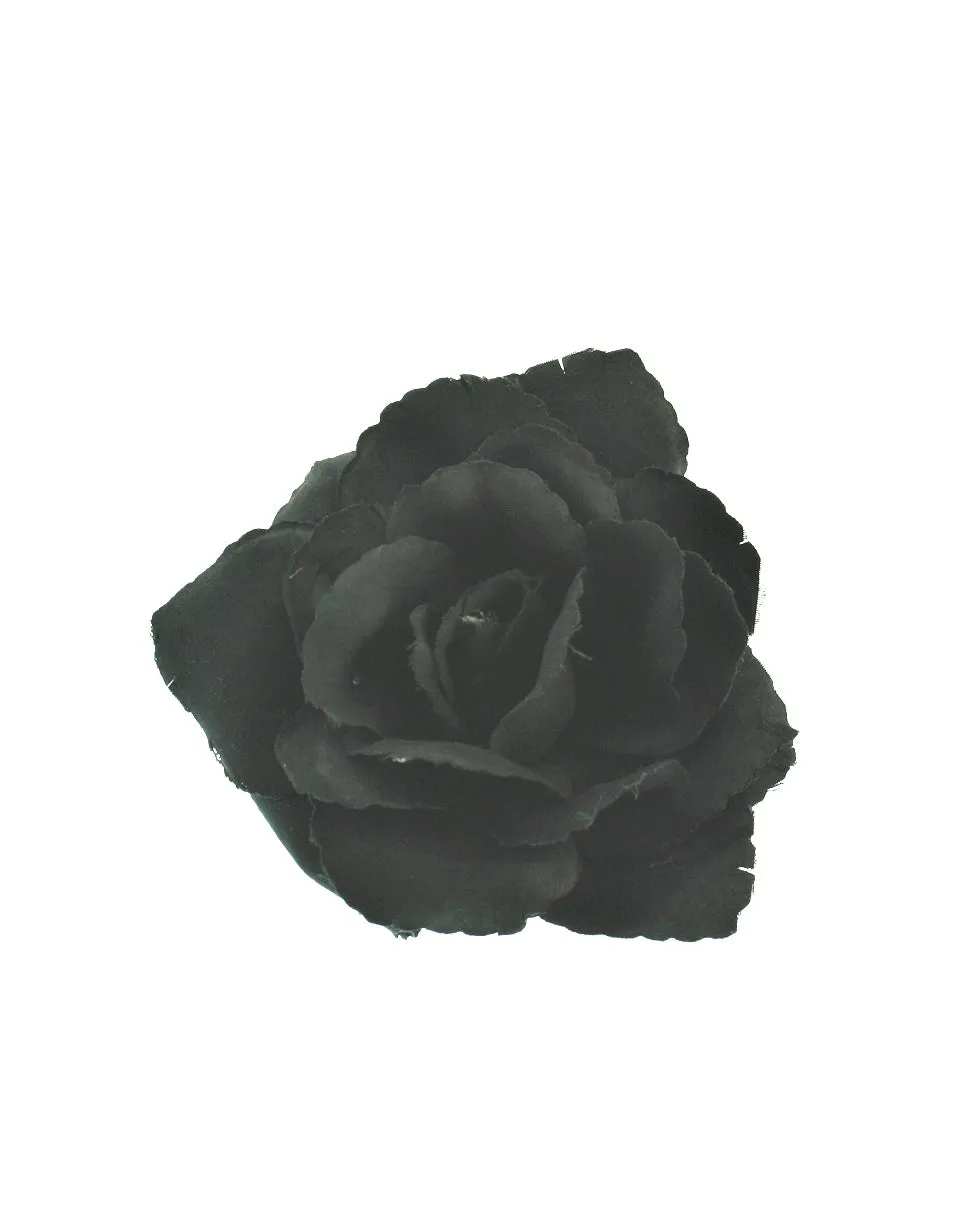 Rose on Concord Clip & Brooch Pin